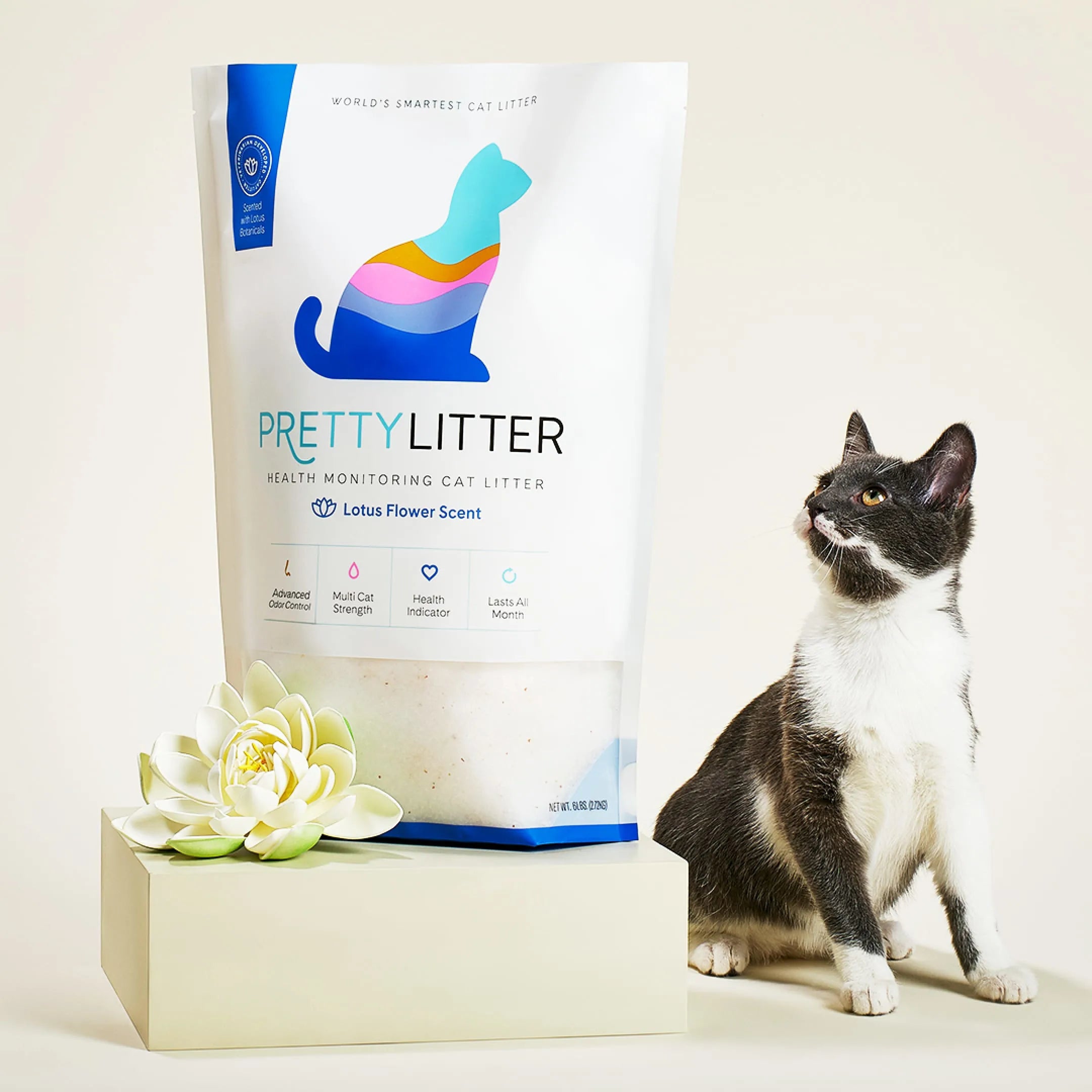 PrettyLitter